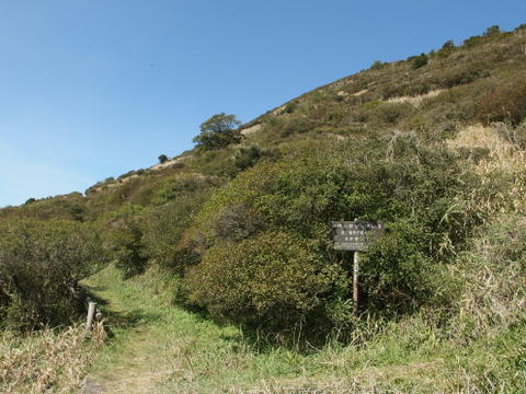 b0199742_729591.jpg