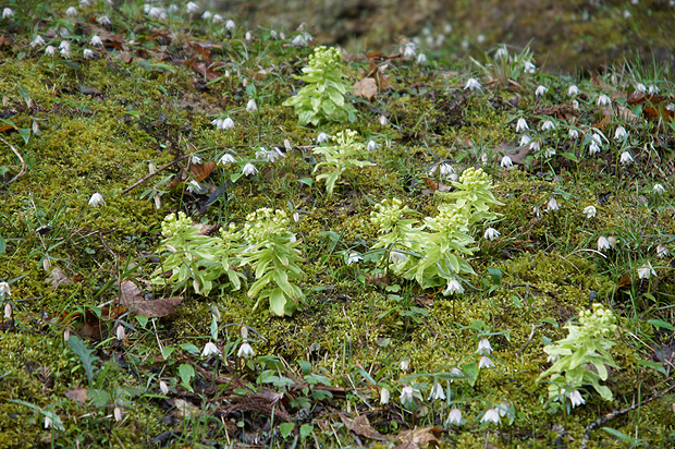 f0214649_11354637.jpg