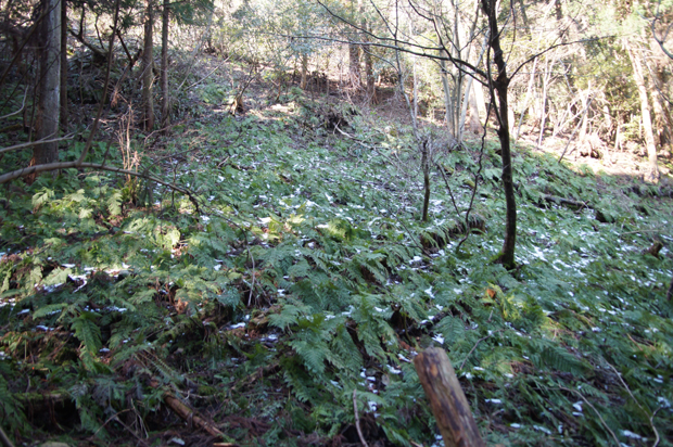 f0214649_1291719.jpg