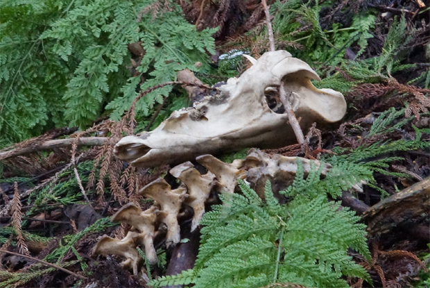f0214649_1592660.jpg