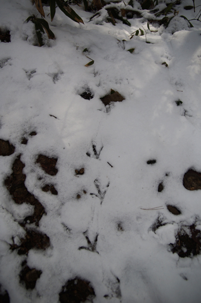 f0214649_16131982.jpg