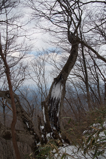 f0214649_1637636.jpg