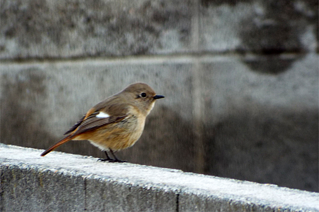 f0214649_511852.jpg