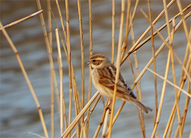 f0214649_54131.jpg