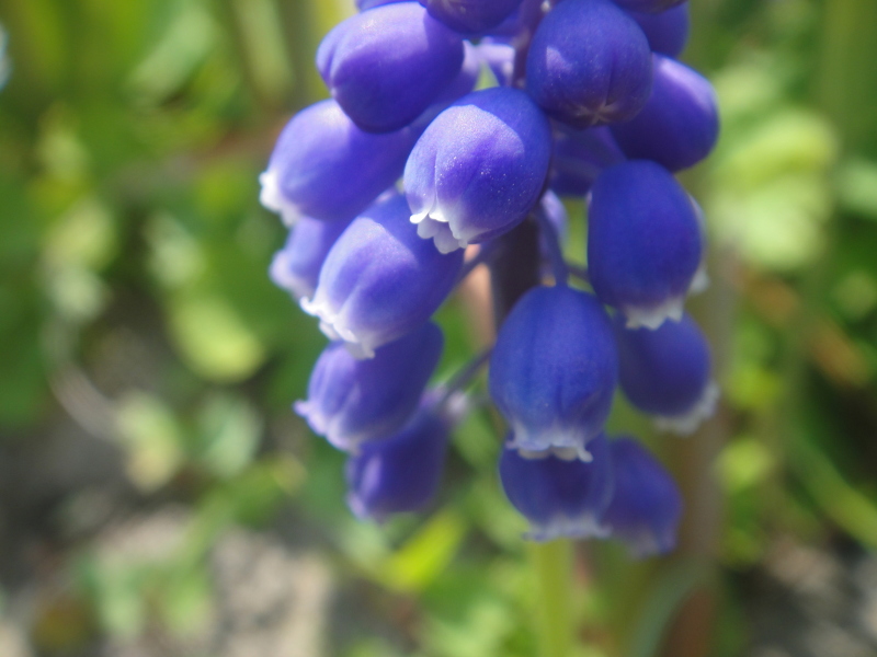 c0108460_21070710.jpg