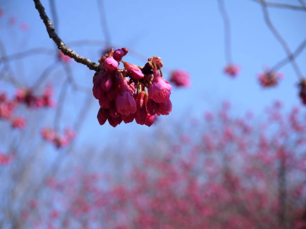 b0282061_161144100.jpg