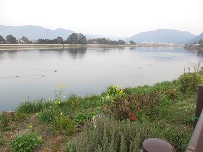 f0113862_1946579.jpg