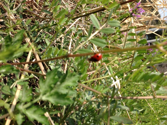 b0267163_22293276.jpg