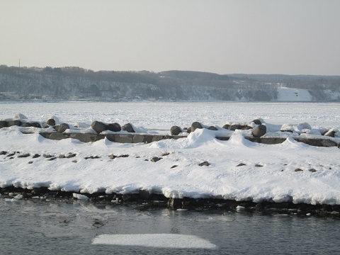 d0029363_14444580.jpg