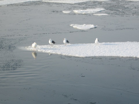 d0029363_14452488.jpg