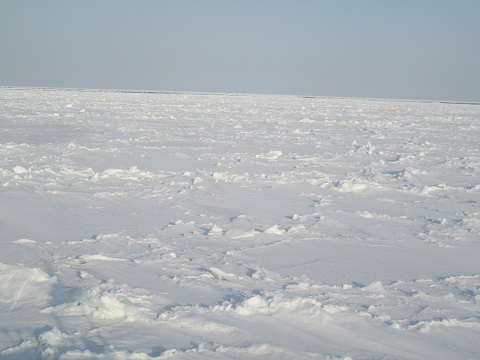 d0029363_1446231.jpg