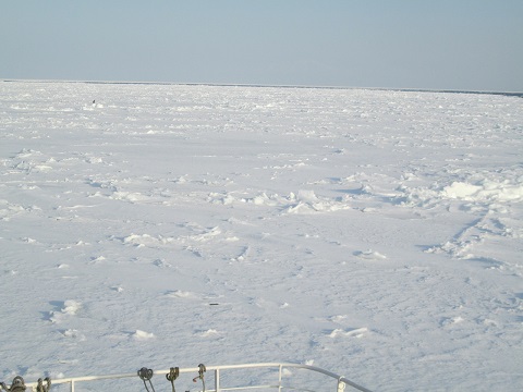 d0029363_1446275.jpg