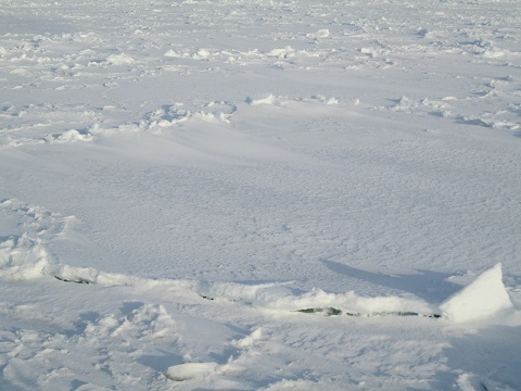 d0029363_14463351.jpg