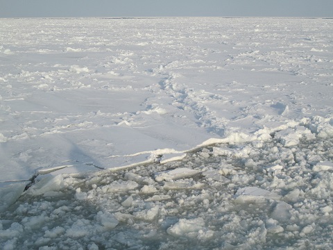 d0029363_14471067.jpg