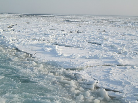 d0029363_14472150.jpg