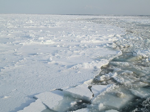 d0029363_14474279.jpg