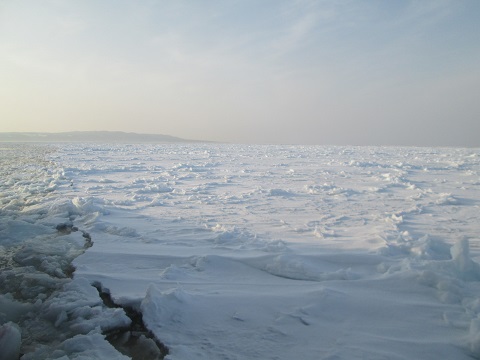 d0029363_14475271.jpg