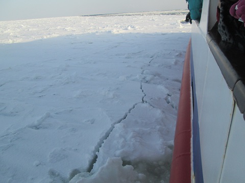 d0029363_16164670.jpg