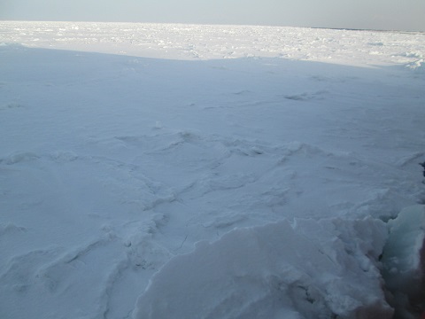 d0029363_16203152.jpg
