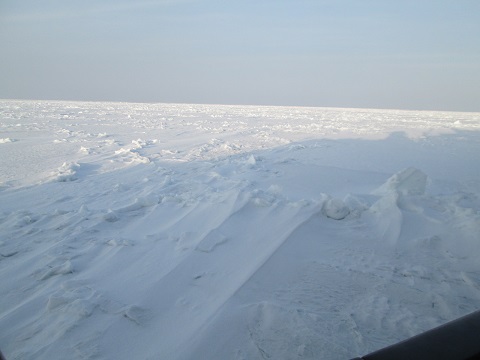 d0029363_16214586.jpg