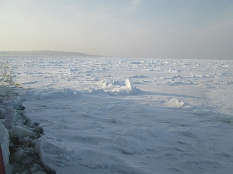 d0029363_16215592.jpg
