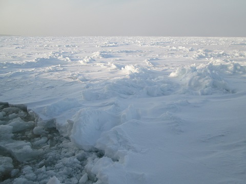 d0029363_16224822.jpg