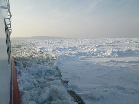 d0029363_16225825.jpg