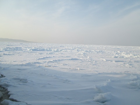 d0029363_16234569.jpg