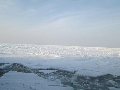 d0029363_16241497.jpg