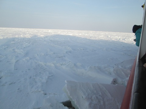 d0029363_1624417.jpg