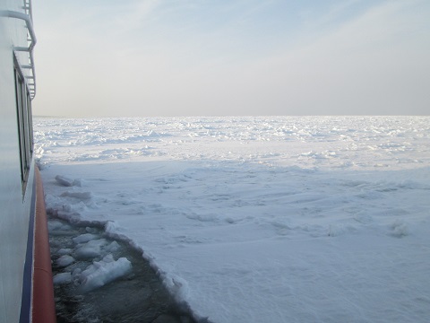 d0029363_16251341.jpg
