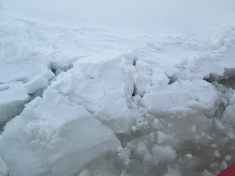 d0029363_16252750.jpg