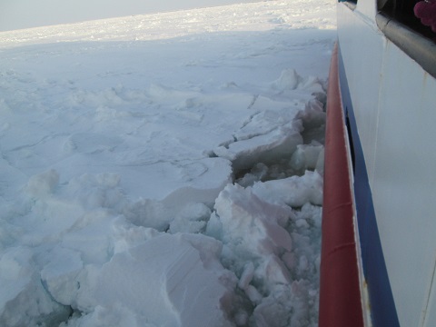 d0029363_16253965.jpg