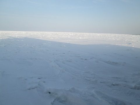 d0029363_16262224.jpg
