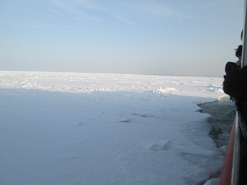 d0029363_1631646.jpg