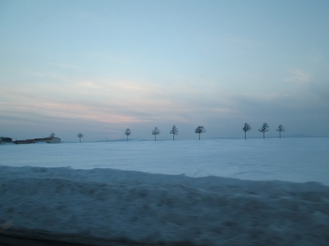 d0029363_20142728.jpg