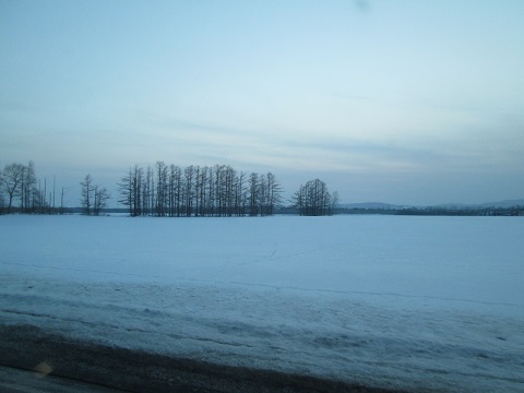 d0029363_2014387.jpg