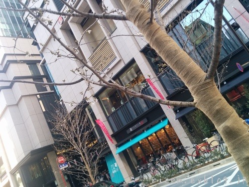 c0127366_6182923.jpg