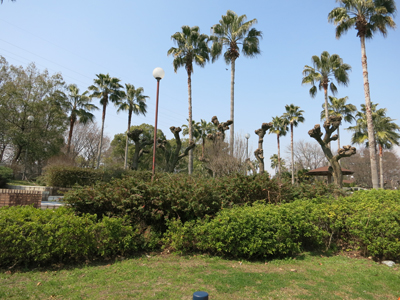 c0117570_11554741.jpg