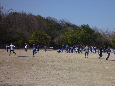 e0161972_8285283.jpg