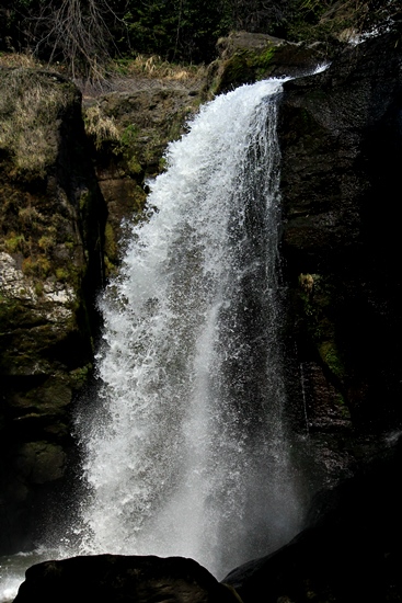 d0126577_192691.jpg