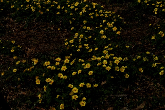 d0126577_1928393.jpg