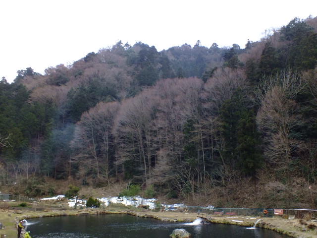 e0145782_1048449.jpg