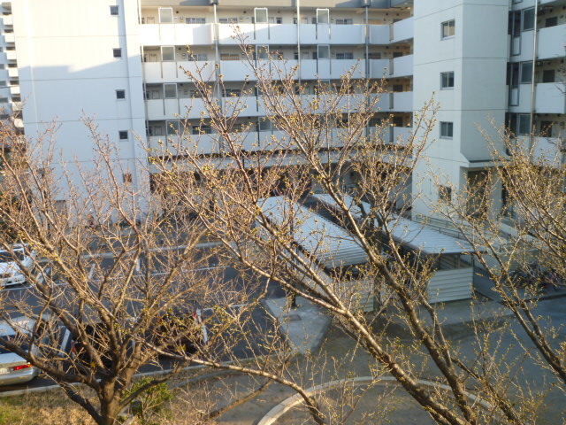 c0236283_1738558.jpg