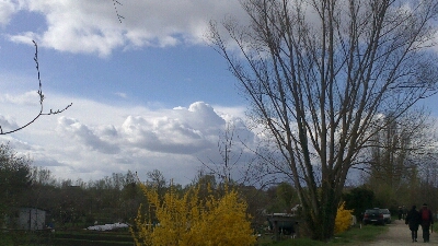 a0247585_5164030.jpg