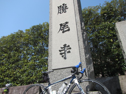 a0251786_12501038.jpg