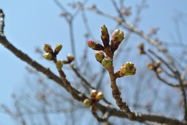 b0128589_216948.jpg
