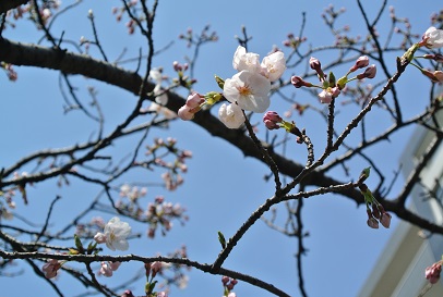 b0128589_217323.jpg