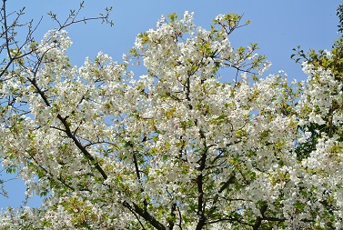 b0128589_2182242.jpg