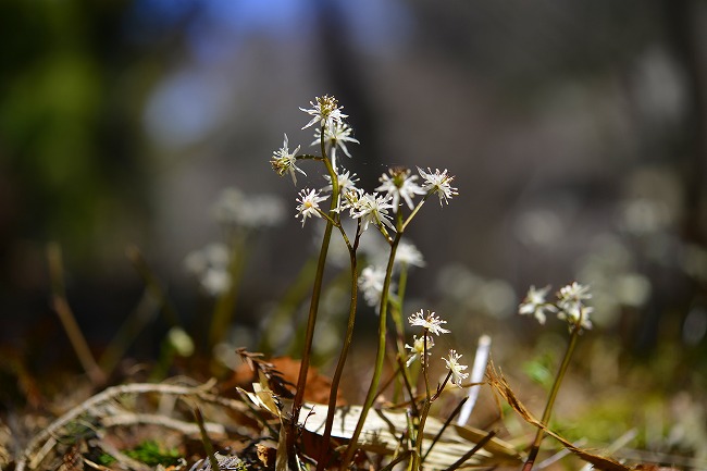 b0255992_112446.jpg
